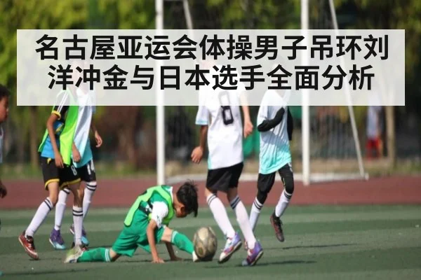名古屋亚运会体操男子吊环刘洋冲金与日本选手全面分析